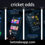 cricket odds